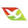 DHC-6 Captain